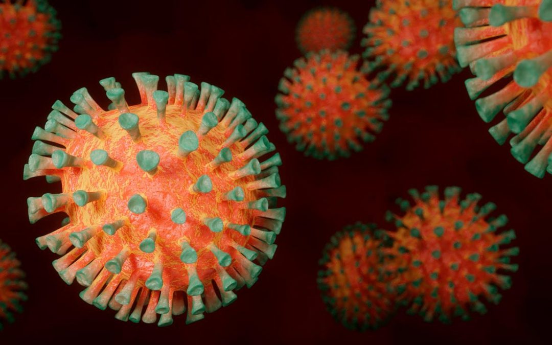 Mixomatosis en conejos